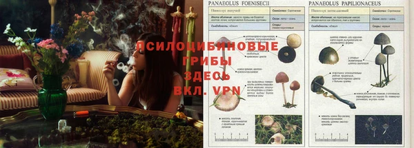 Альфа ПВП Волосово