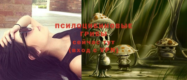 тгк Верея